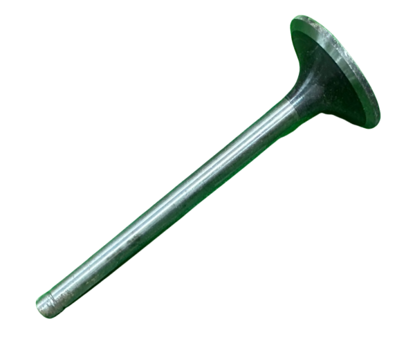 VEH21635 VALVE/INTKE ZH1105, 02.01