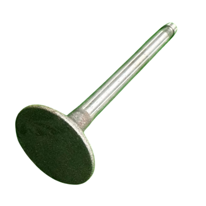 VEH21634 VALVE/EXHAUST ZH1105, 02.0