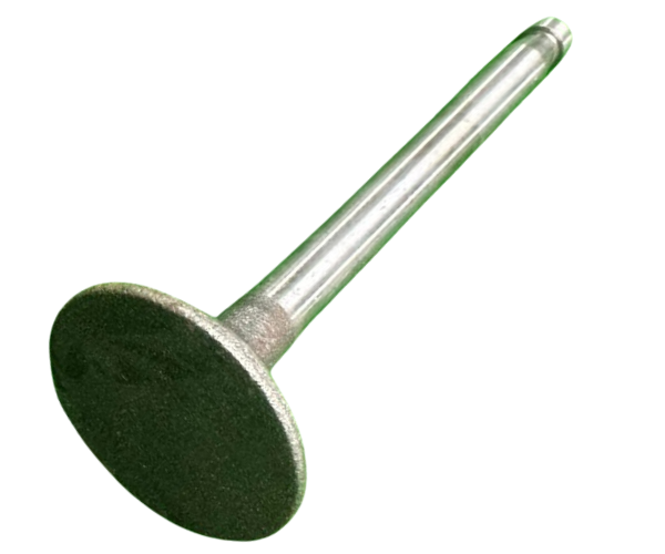 VEH21634 VALVE/EXHAUST ZH1105, 02.0