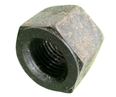 VEH21522 NUT/CYLINDER HEAD 295-0101