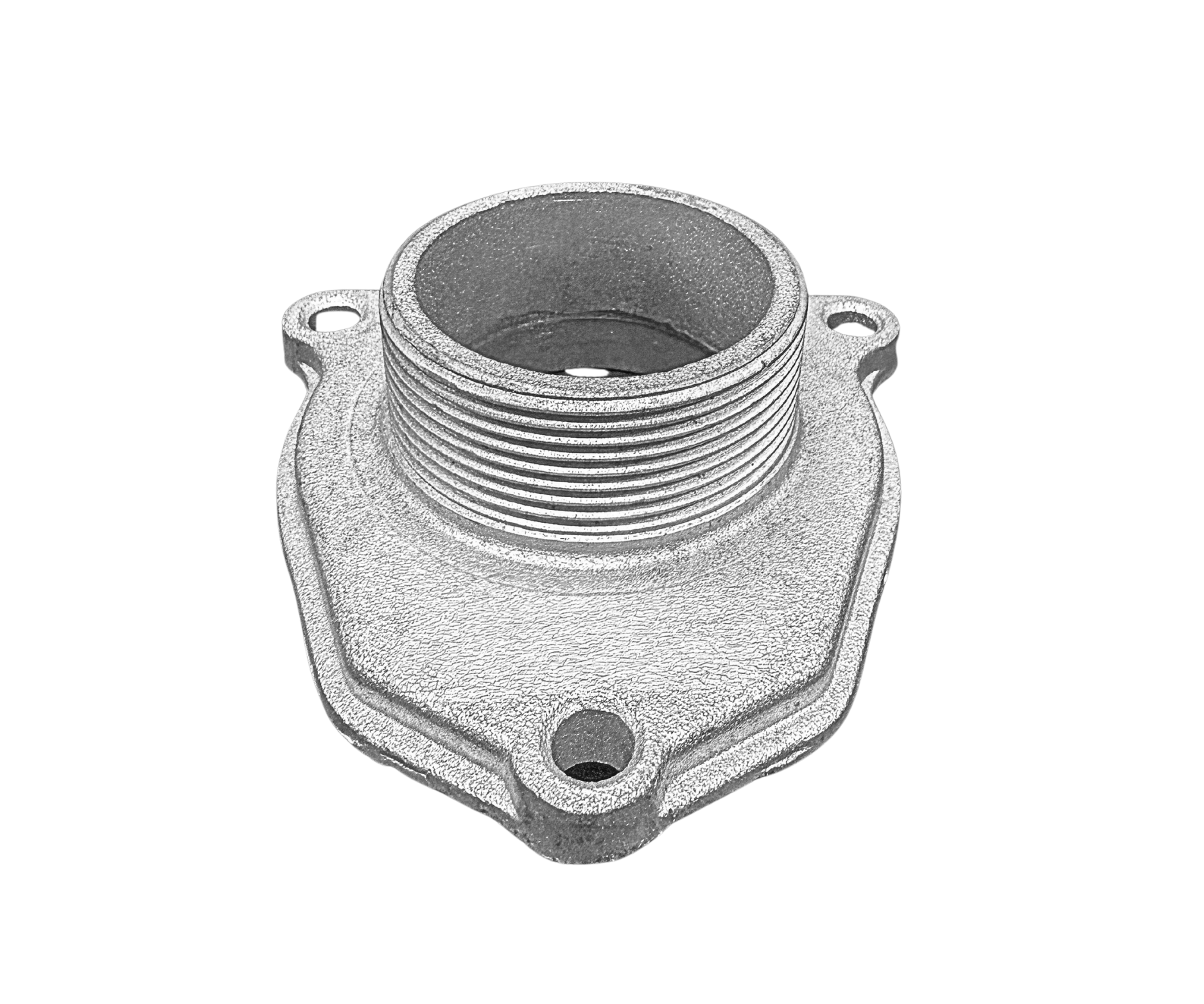 VEH22470 VALVE/FLOPPER CHECK 2"