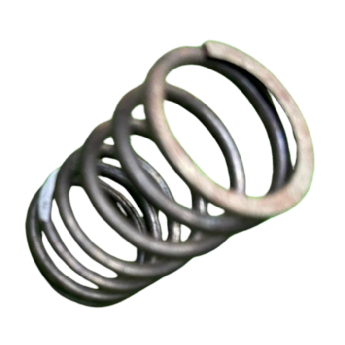 VEH22501 SPRING #21 T31744133