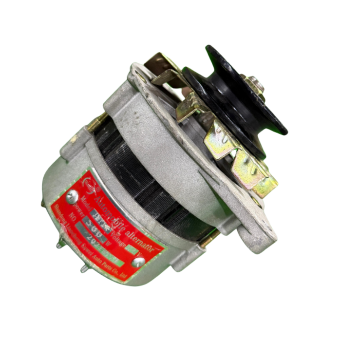 KING POWERFUL VEH19624 ALTERNATOR 4100GA