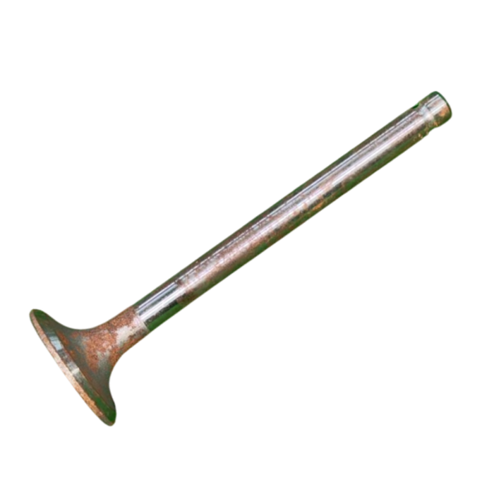 VEH14936 VALVE/EXHAUST 4100GA