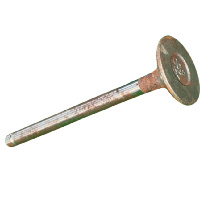 VEH14936 VALVE/EXHAUST 4100GA