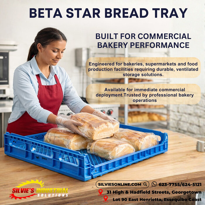 BETA STAR HAR10068/BREAD TRAY 694*606*150MM (BLUE)