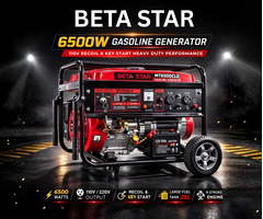 BETA STAR IND6060 6500 WATTS BETA STAR GENERATOR 6500A, 110V RECOIL AND KEY