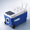 BETA STAR ICE BOX WITH SOLAR CHARGER (HAR9849)