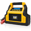 CAT 100 AMP BATTERY CHARGER (VEH24982)
