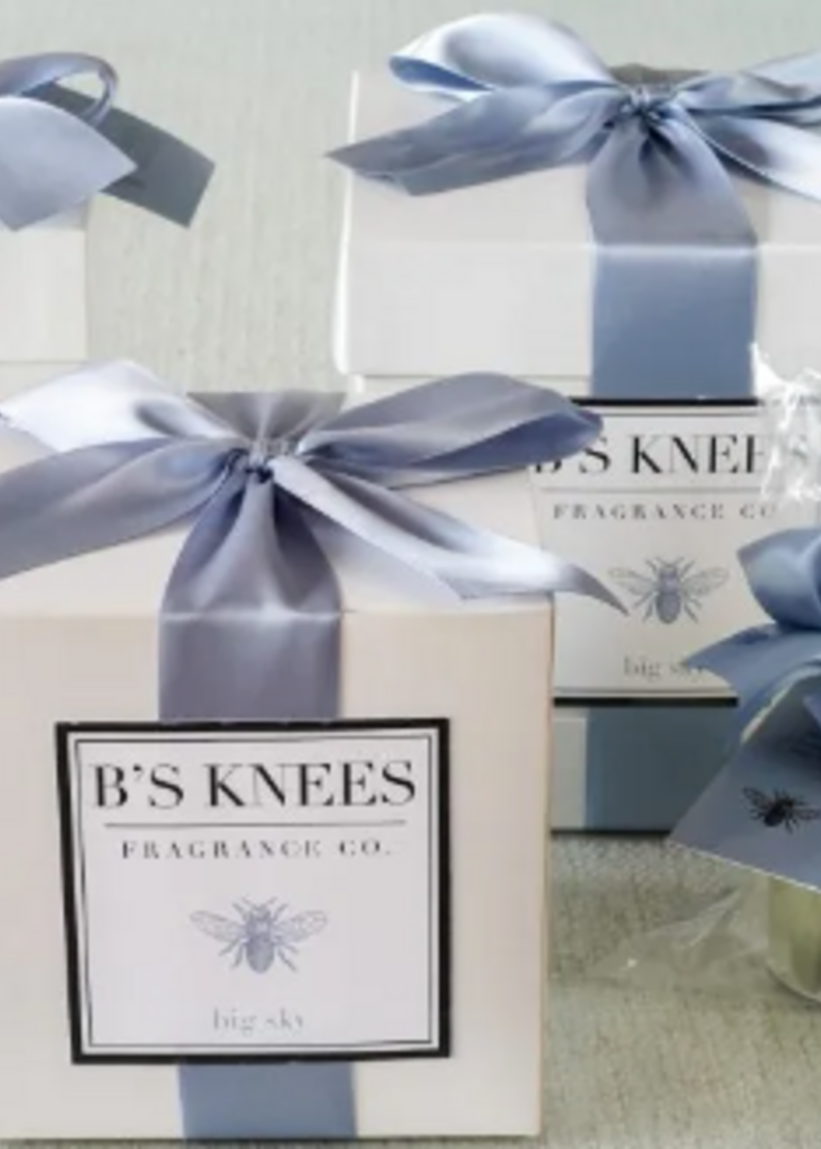 B's Knees Fragrance B's Knees  Big Sky Large Blossom Diffuser