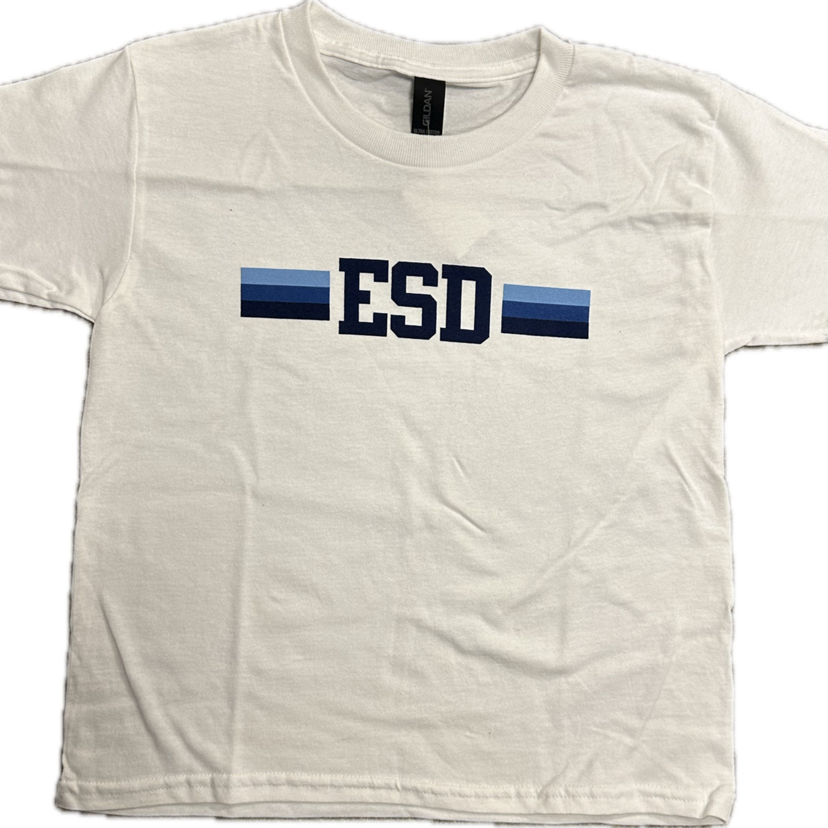 EN T-Shirt White Blue Ombre Stripe ESD