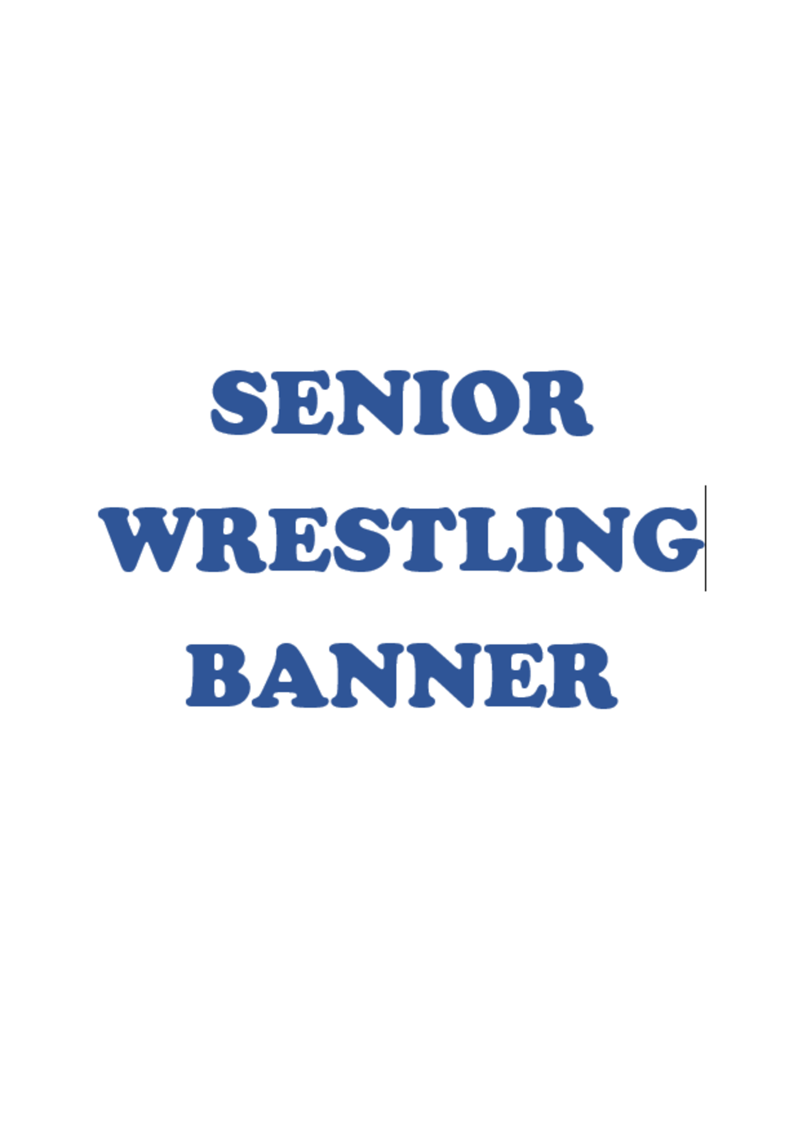 2025 Senior Wrestling Banner
