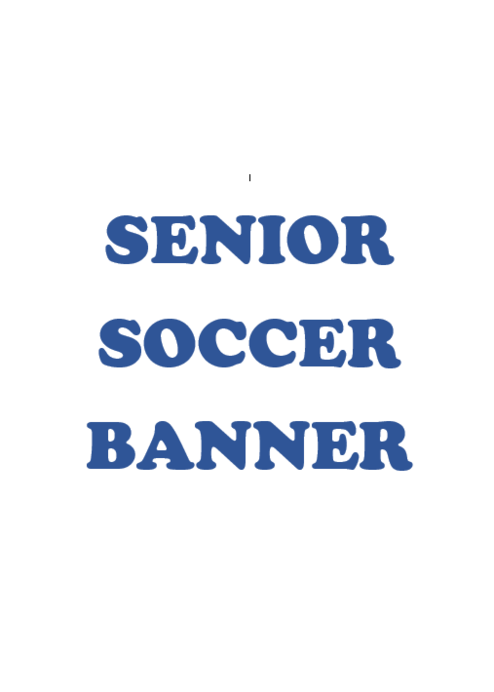 2025 Senior Soccer Banner