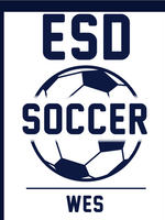 2026 Soccer Yard Sign