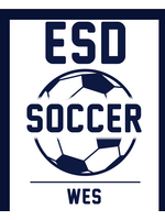 2025 Soccer Yard Sign