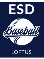 2026 Baseball Yard Sign