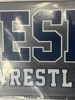 CDI Corp ESD Athletic Decal Wrestling