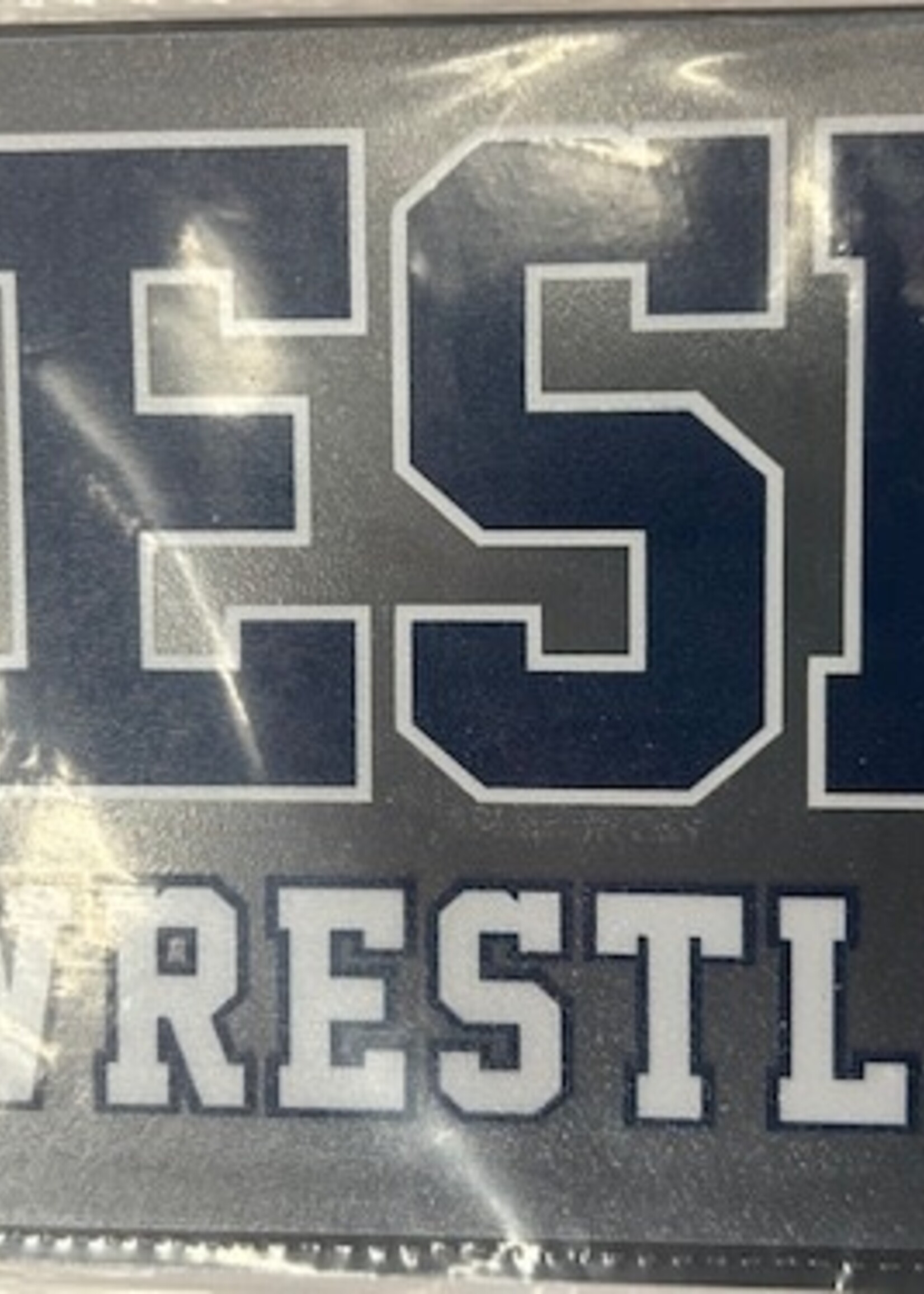 CDI Corp ESD Athletic Decal Wrestling