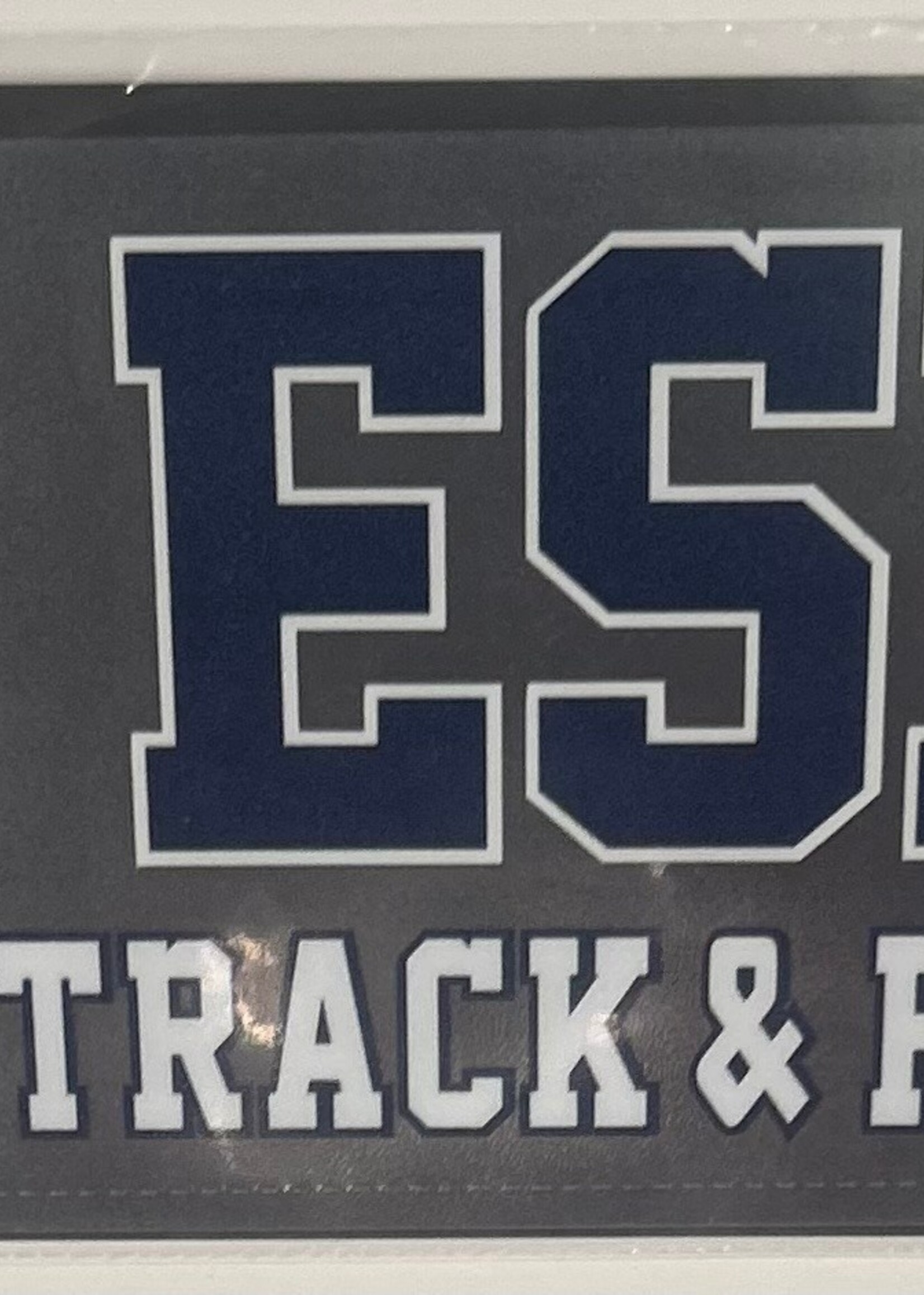 CDI Corp ESD Athletic Decal Track & Field