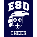 2026 CHEER TEAM STORE