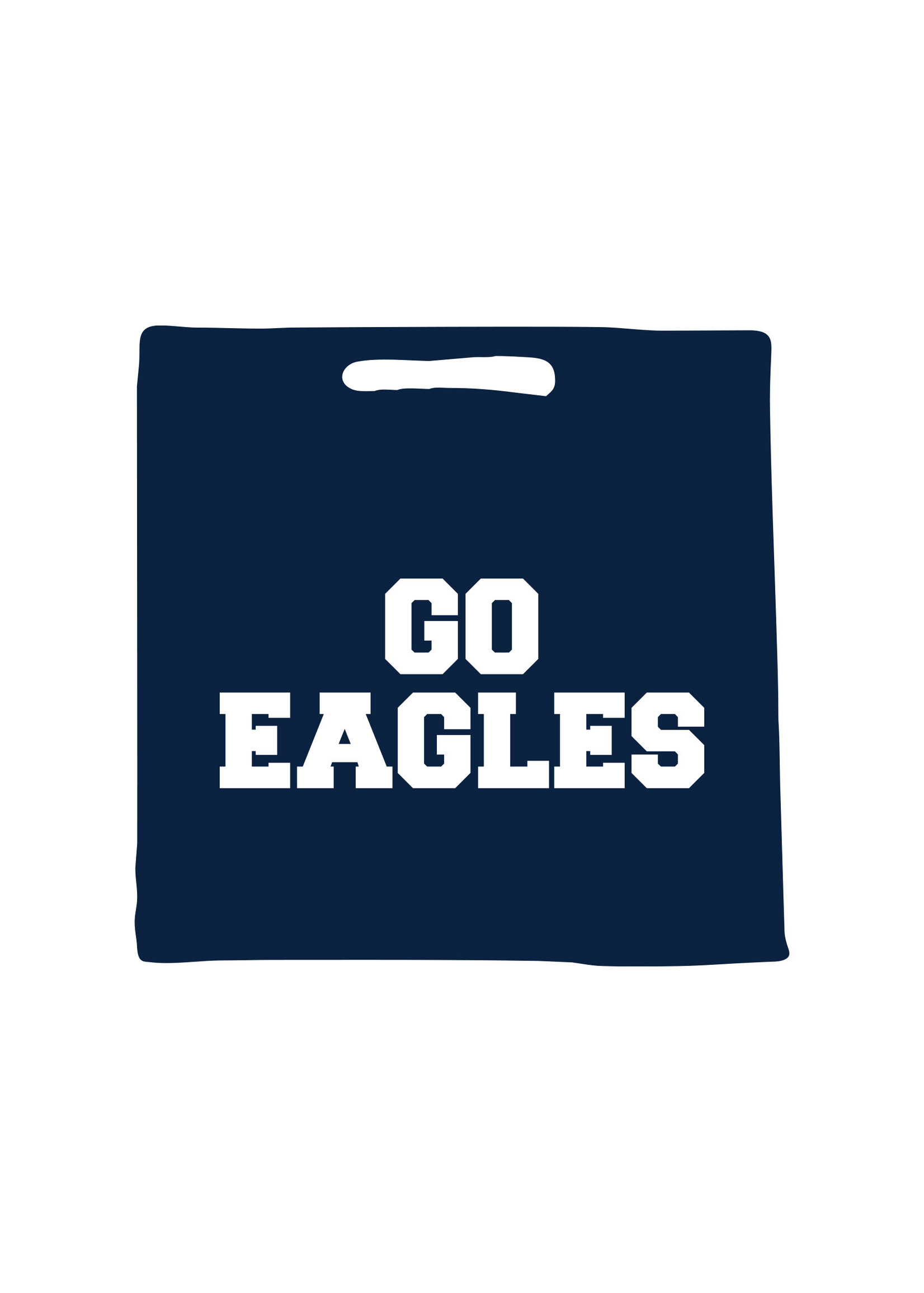 Neil Enterprises Go Eagles Square Stadium Cushion