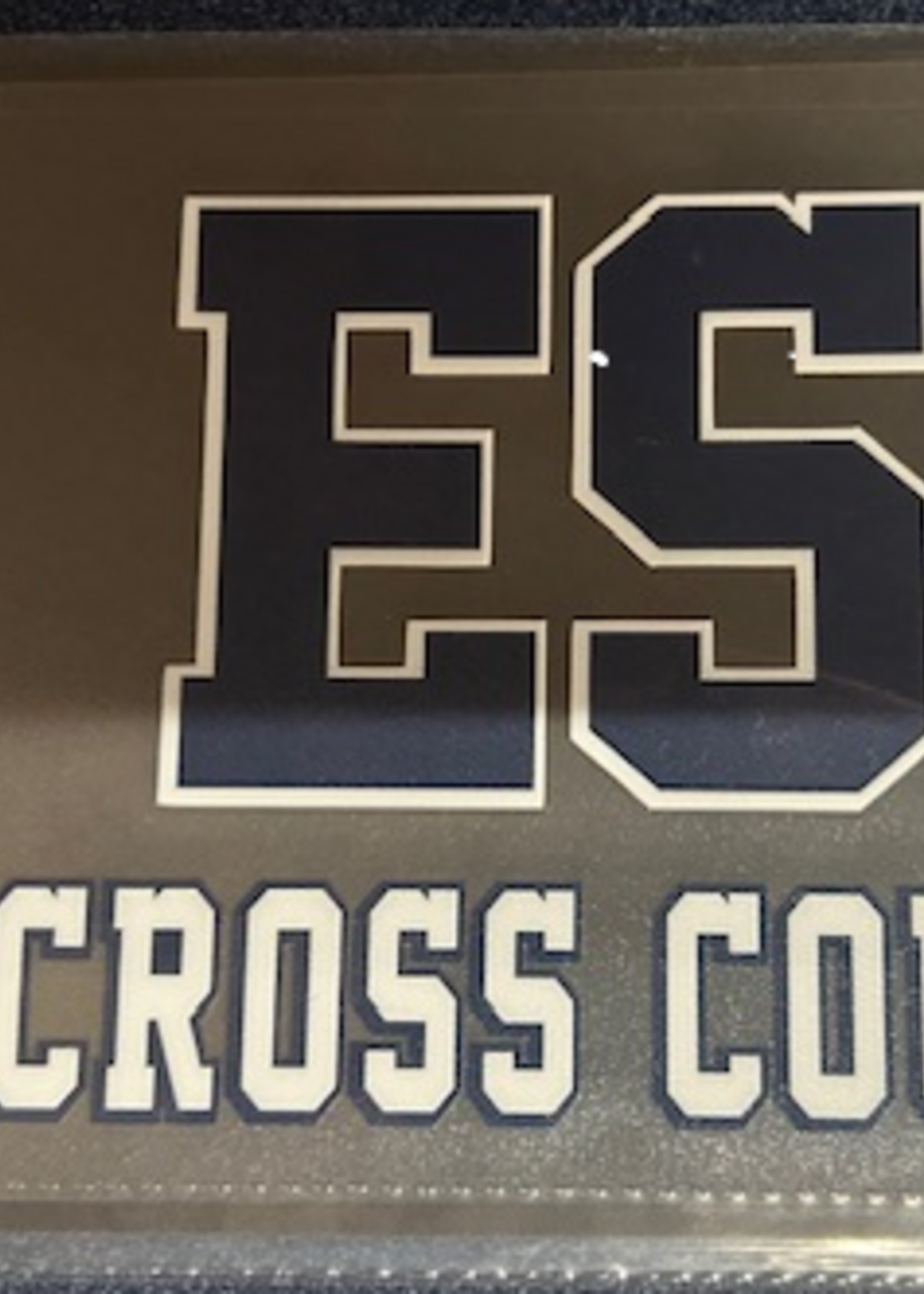 CDI Corp ESD Athletic Decal Cross Country