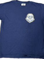 6J Glitter Star Eye Eagle Patch Tee