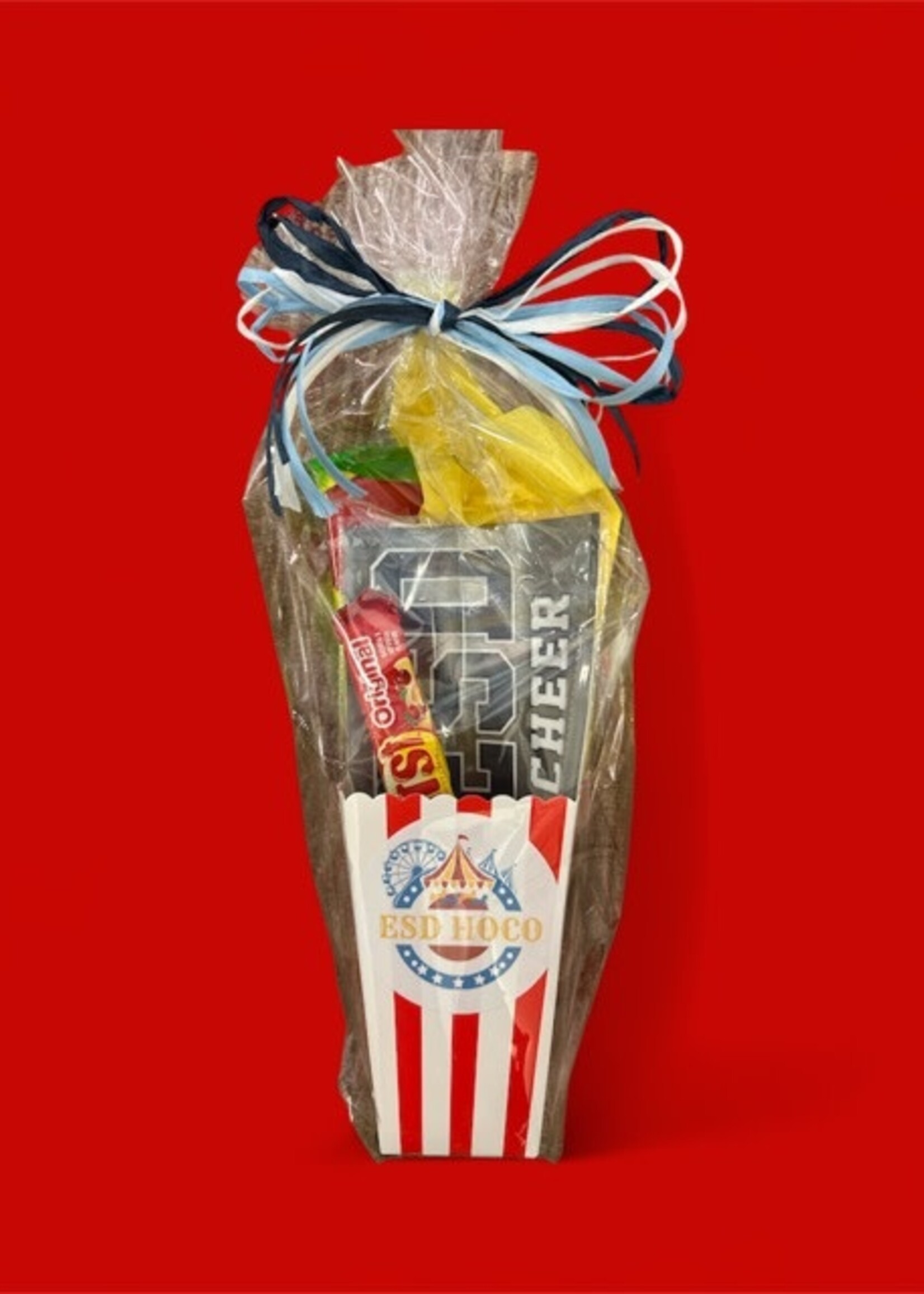 2025 HOCO Spirit Gift - Cheer