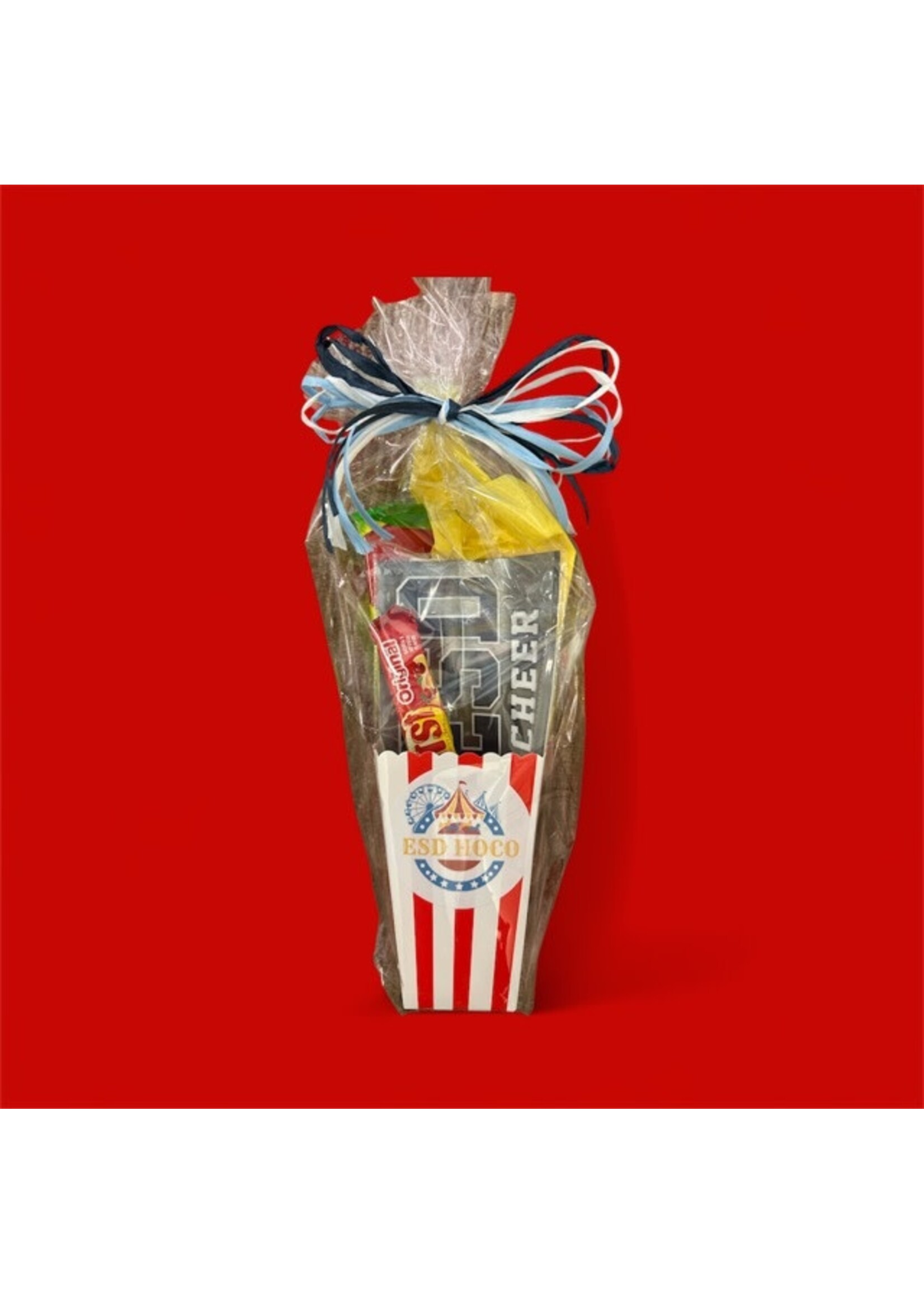 2025 HOCO Spirit Gift - Cheer