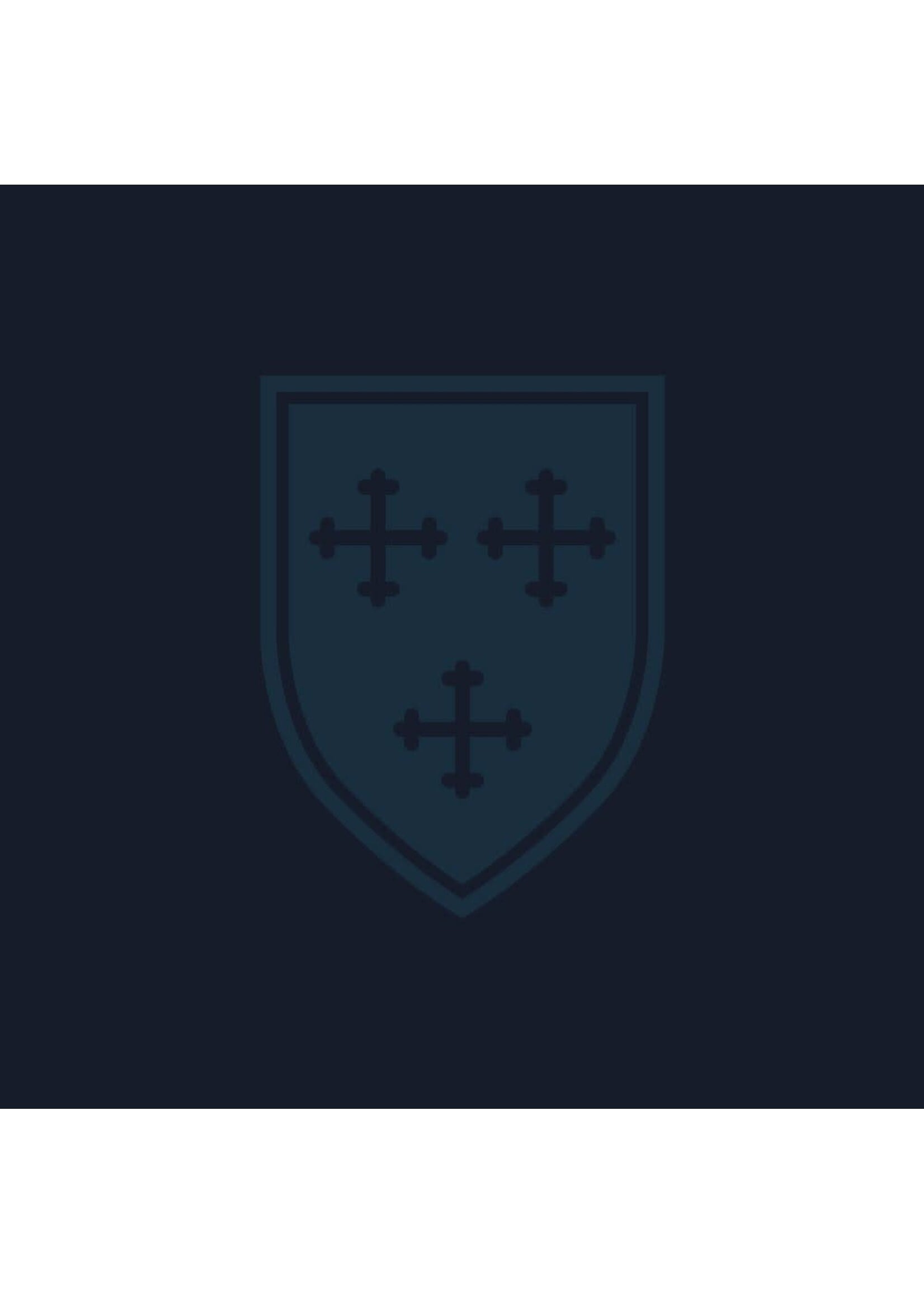 Champion Champion PB Fleece Hoodie Navy with Tonal ESD and Shield