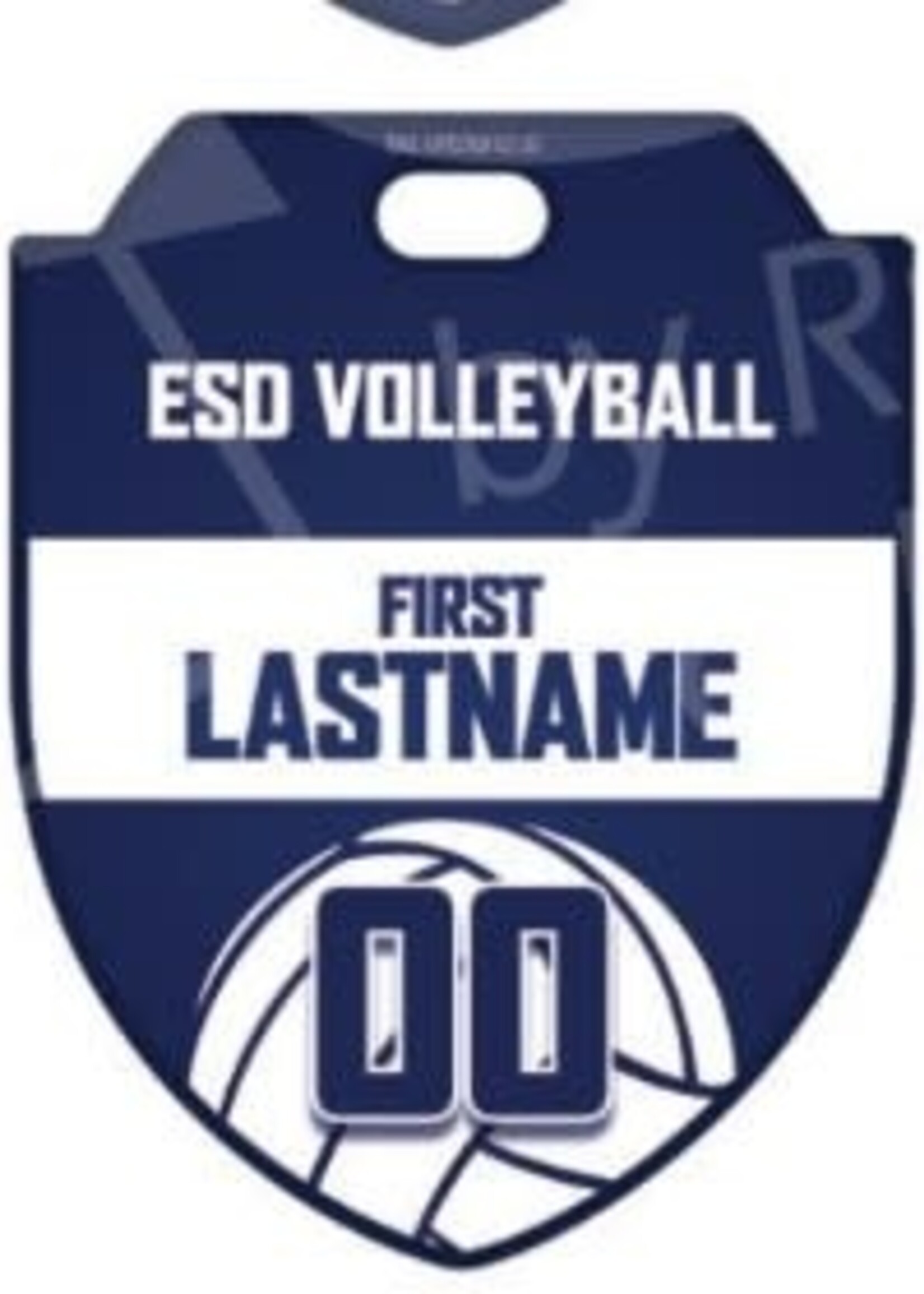 2026 Volleyball Custom Bag Tag