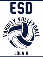 2026 Volleyball Custom Yard Sign