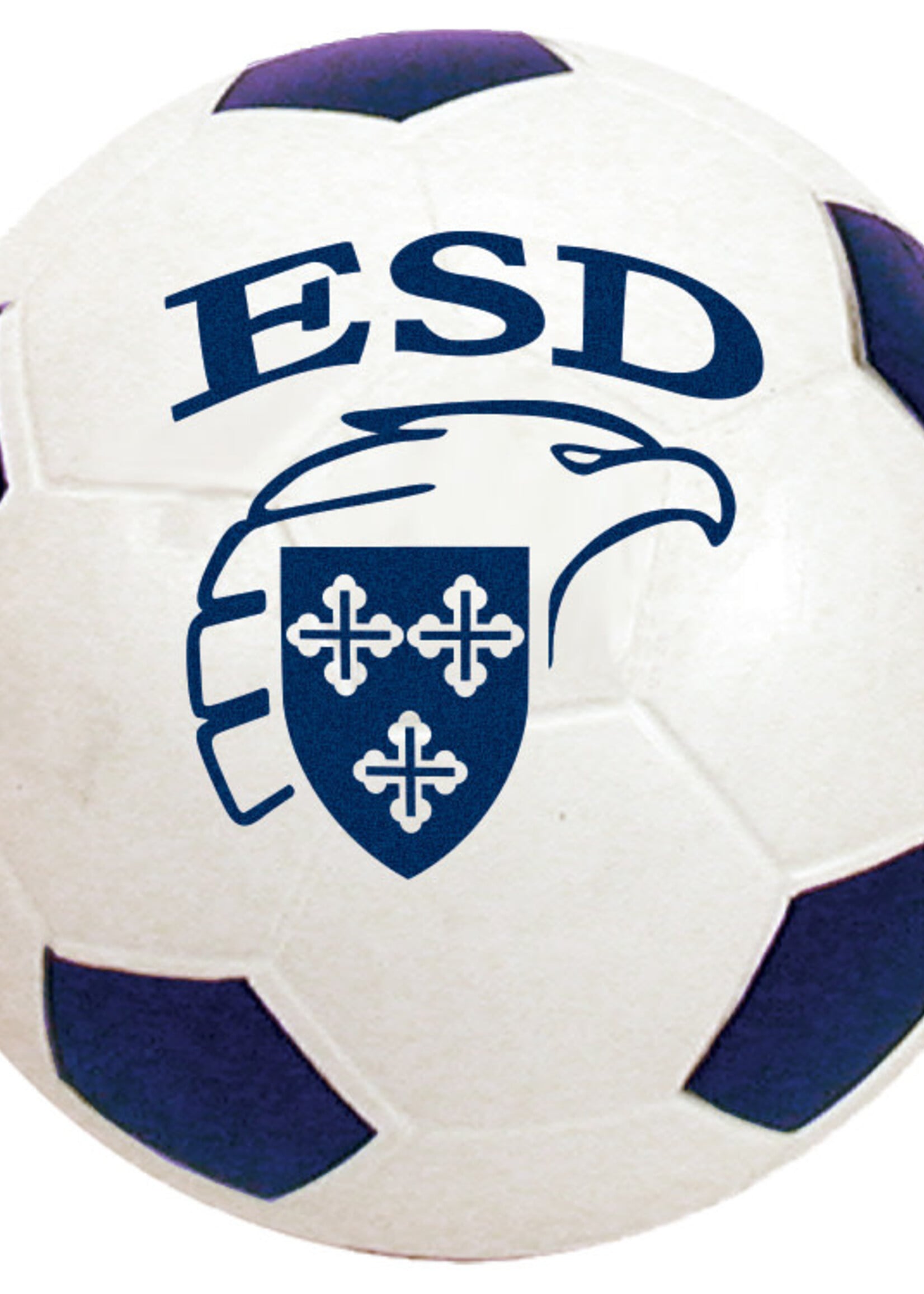Spirit Products 6" Foam Soccer Ball