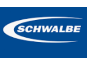 SCHWALBE