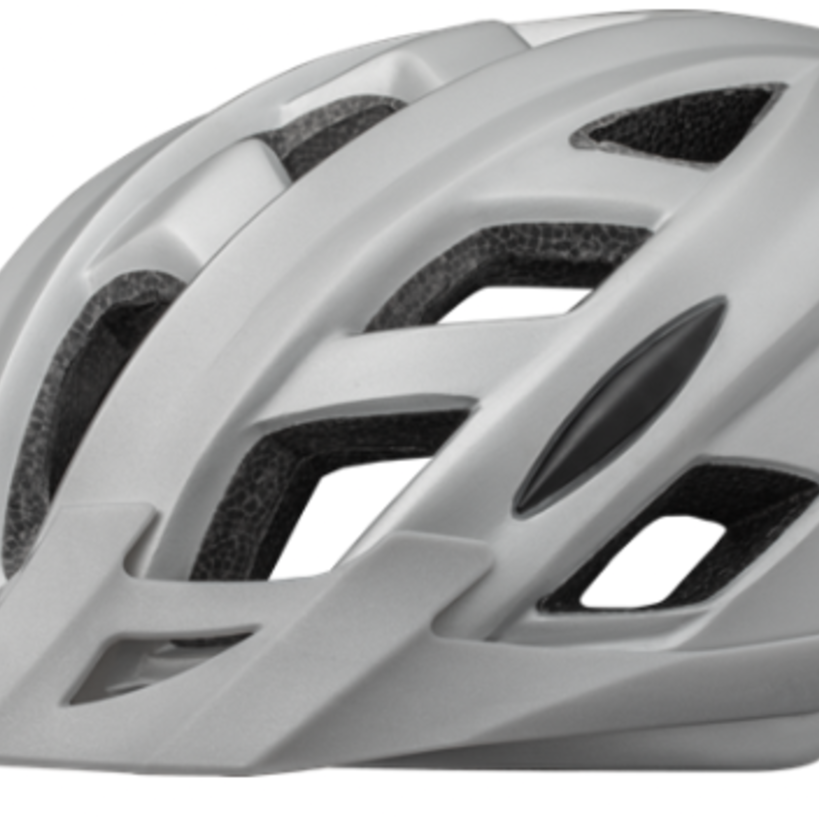 Cannondale Quick CSPC Adult Helmet SV L/XL