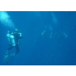 Deep Diver Course: Lynnwood