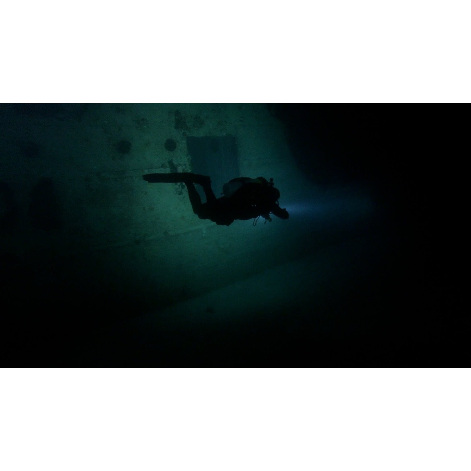 Night Diver Course: Lynnwood