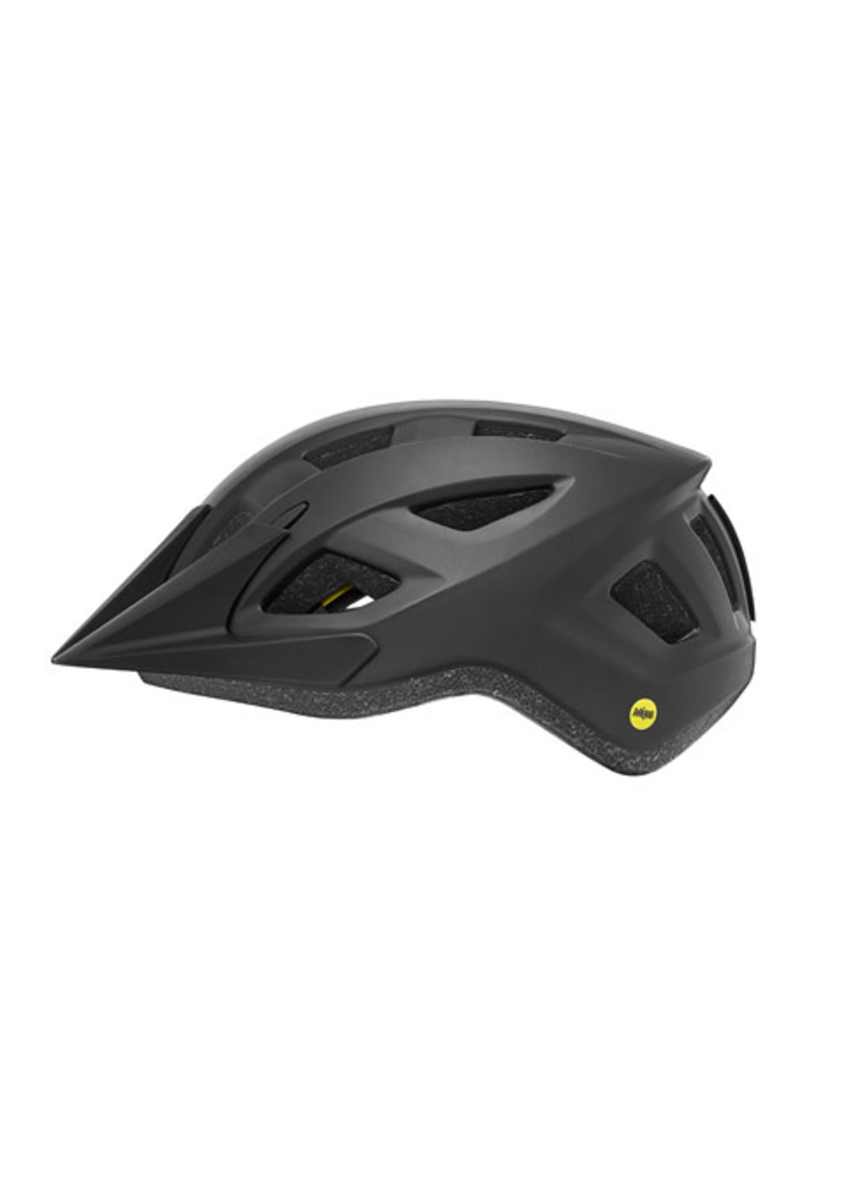 Giant Giant Path MIPS Helmet