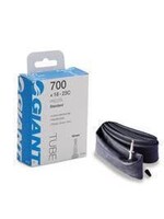 Giant Giant tube 29X 2.4-2.8