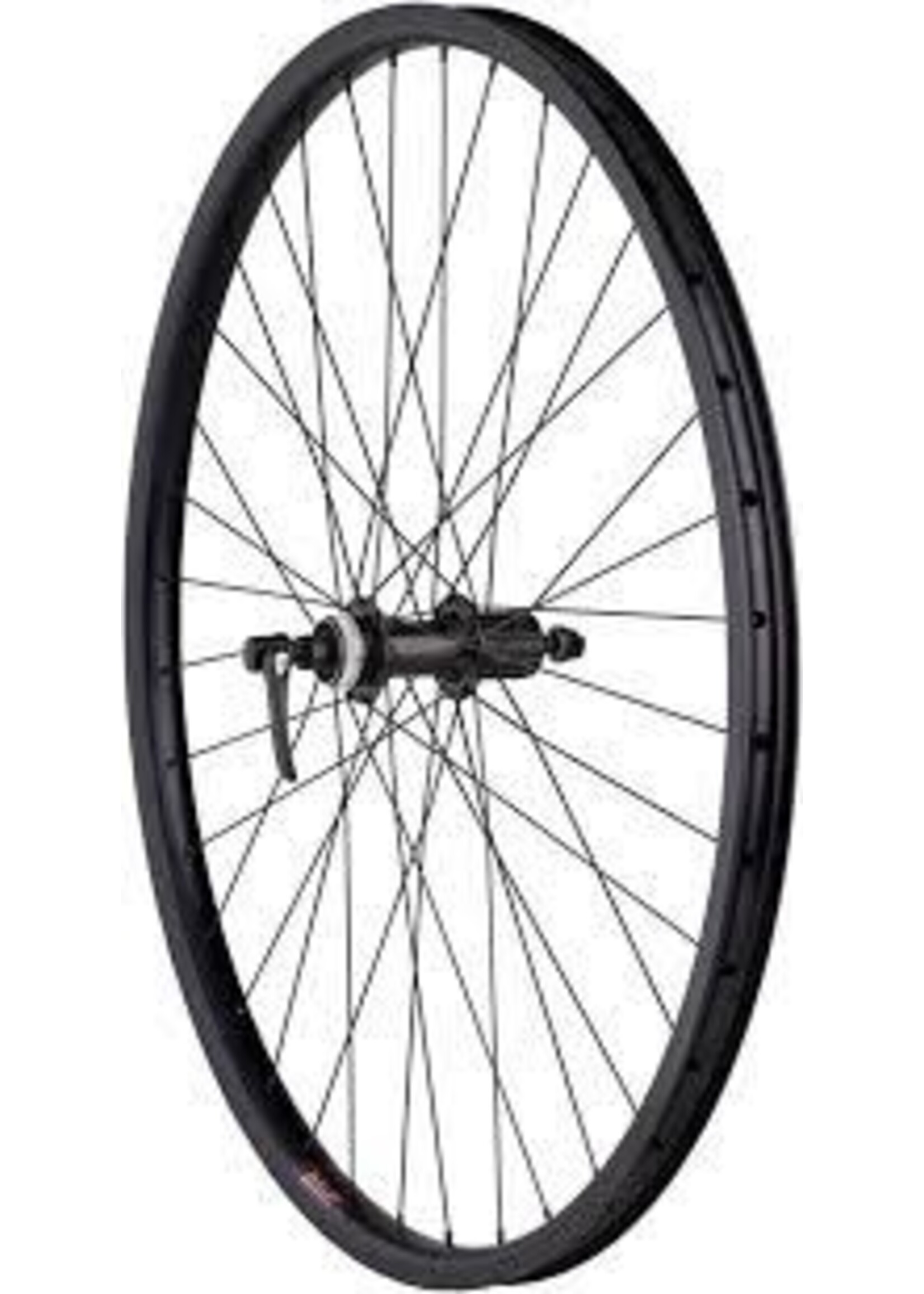 Sta-Tru Sta-Tru wheel 26" X 21mm , Dbl Wall front