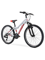 Fuji Fuji Dynamite Sport, 24", Silver