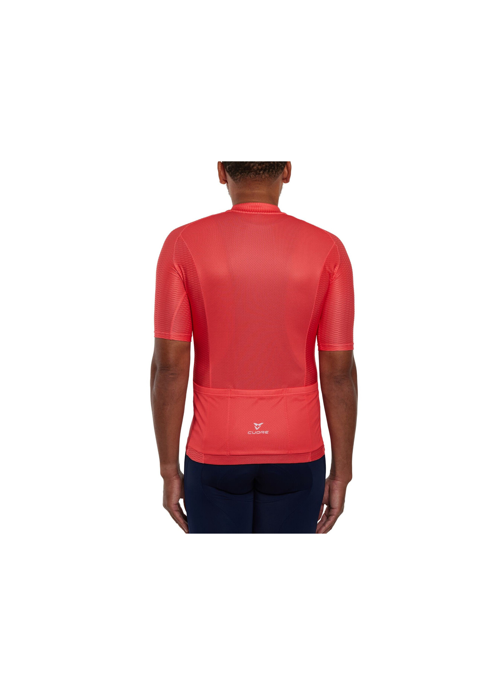 Giant Cuore Alpint Road Jersey, Mens