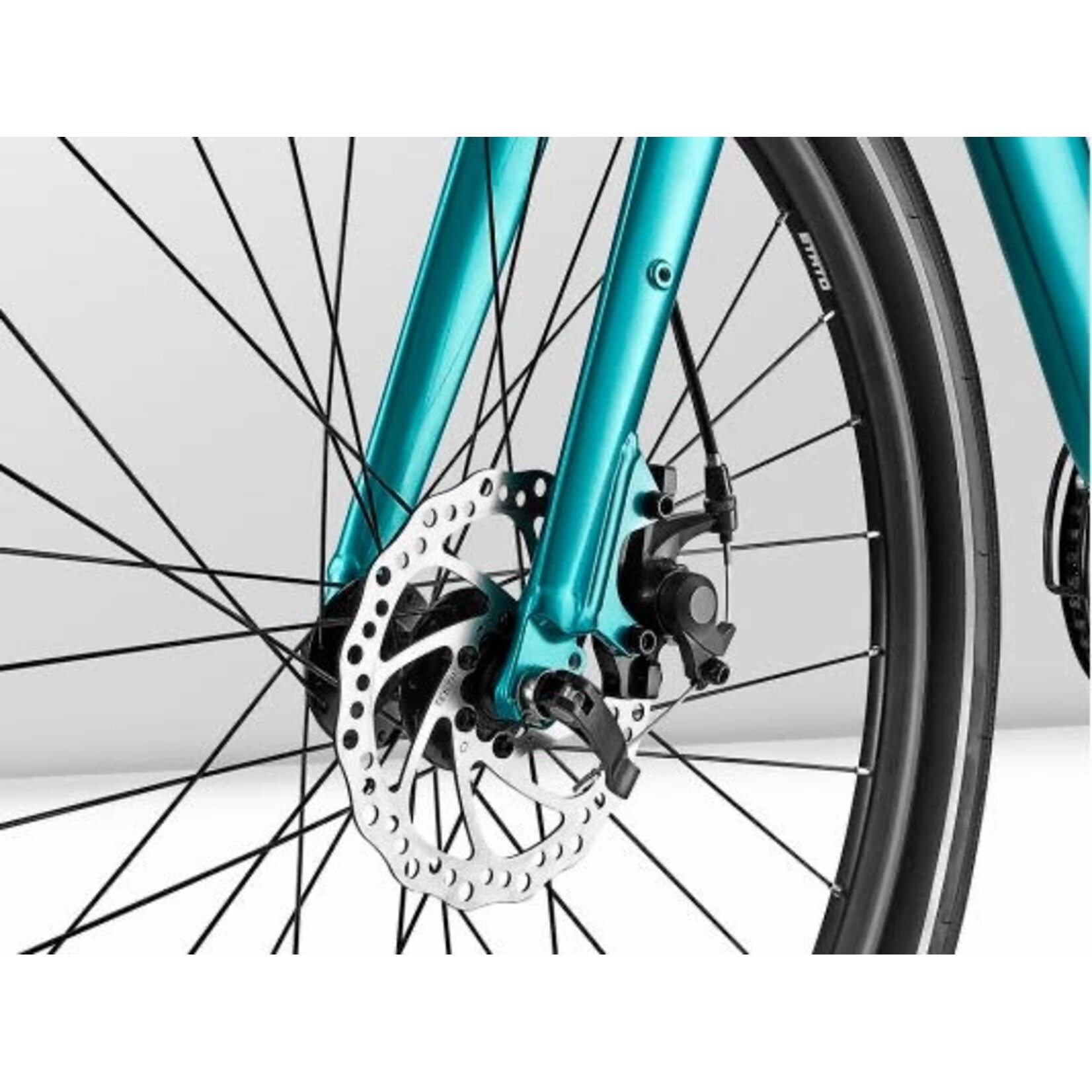 Momentum Momentum Vida , Small, Charcoal