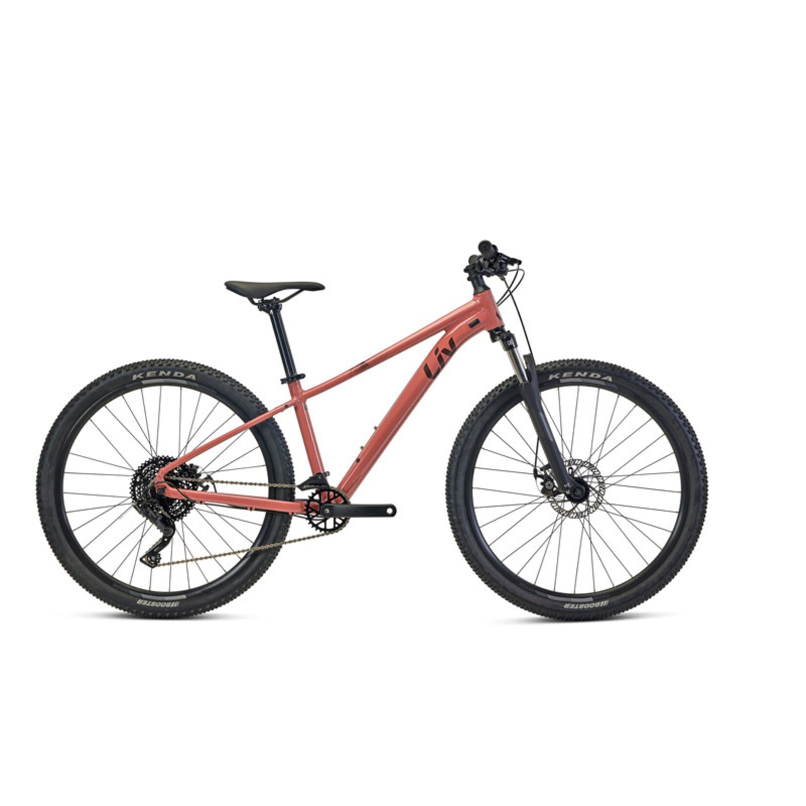 LIV Liv Tempt 29 4, L,  Terra Roza