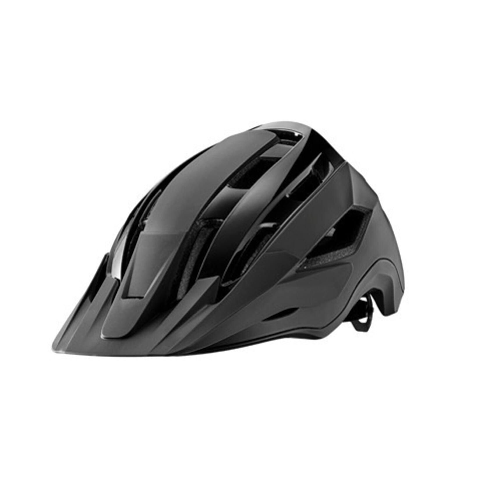 Giant Giant Rail Helmet