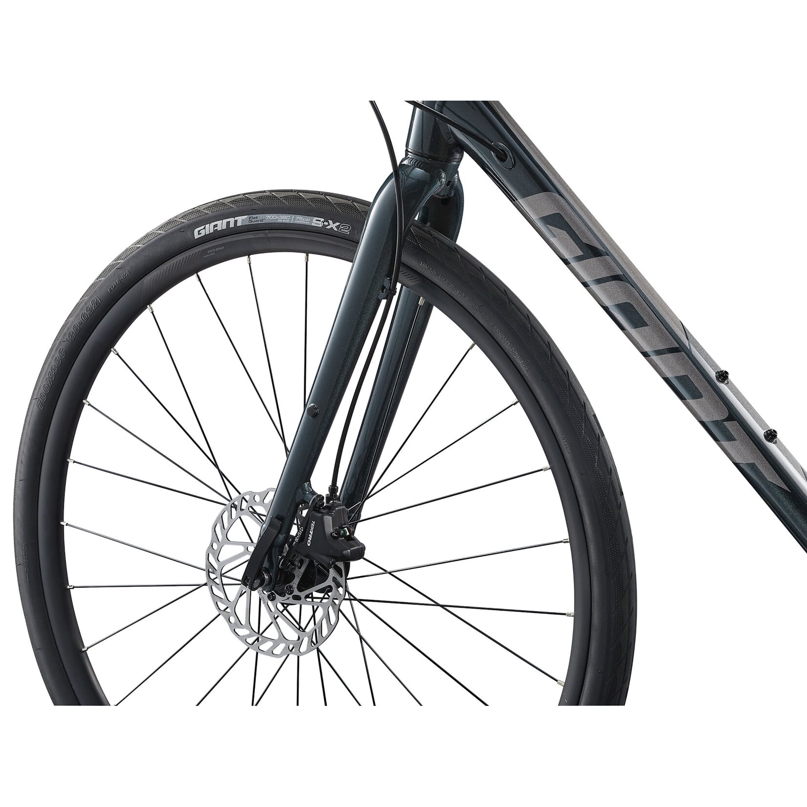 Giant Giant Escape 2 Disc, M, Asphalt Green