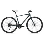 Giant Giant Escape 2 Disc-GU L Asphalt Green