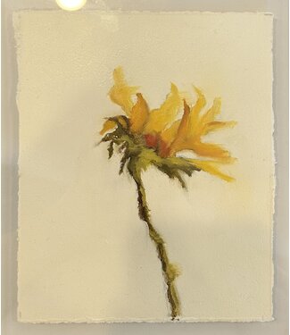 Laura Davis Shanker Yellow Flower