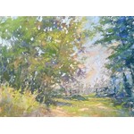 Stroll Through The Park