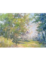 Stroll Through The Park